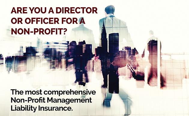 Are You A Director of Officer For A Non-Profit?